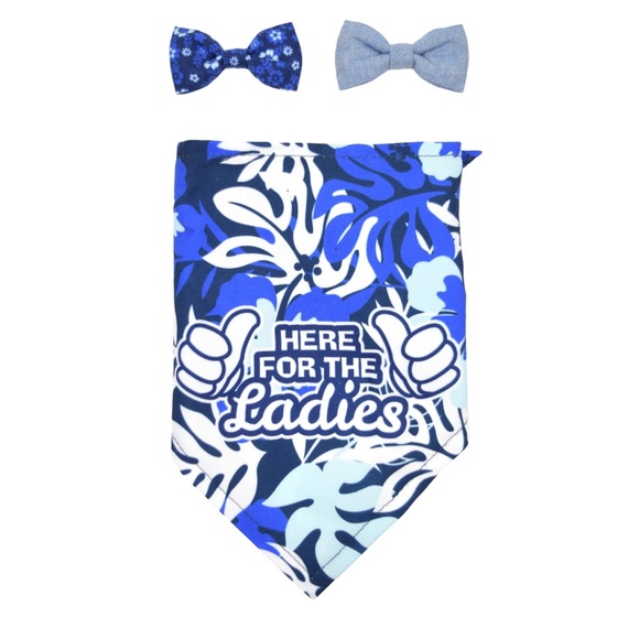 Bandana and Bow tie set size XS/ S NWT - Picture 1 of 5